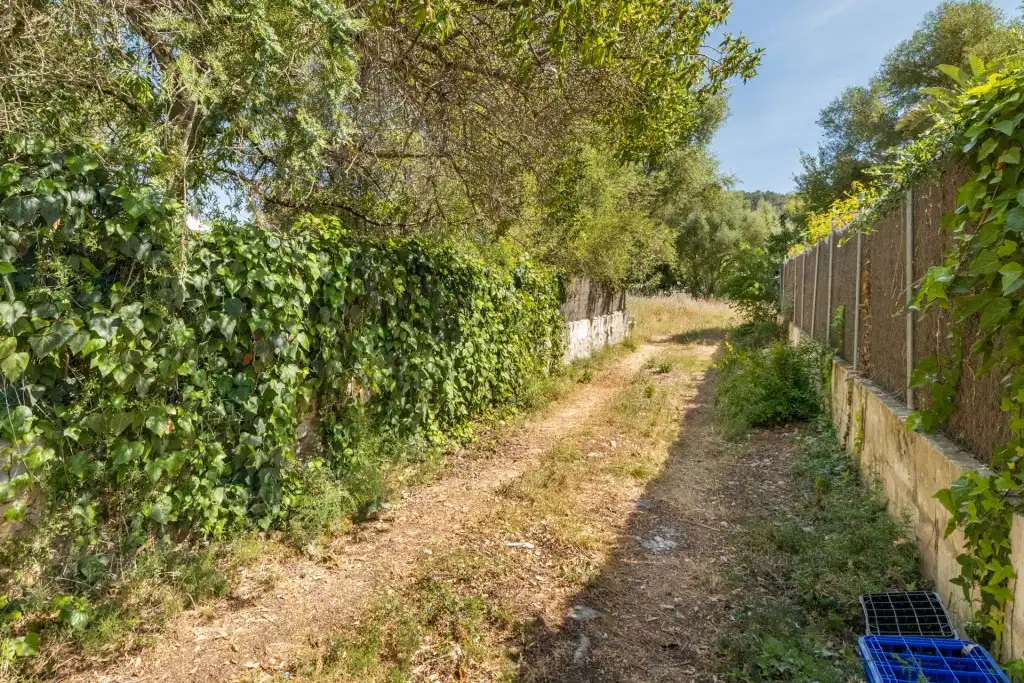 Terreno rustico in vendita a Pollença Poble, imagen 5