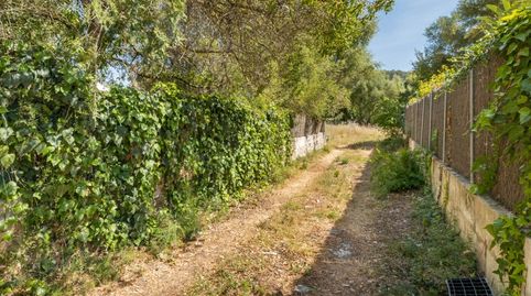 Parcela residencial edificable en venta cerca de Pollensa, Mallorca, immagine 5