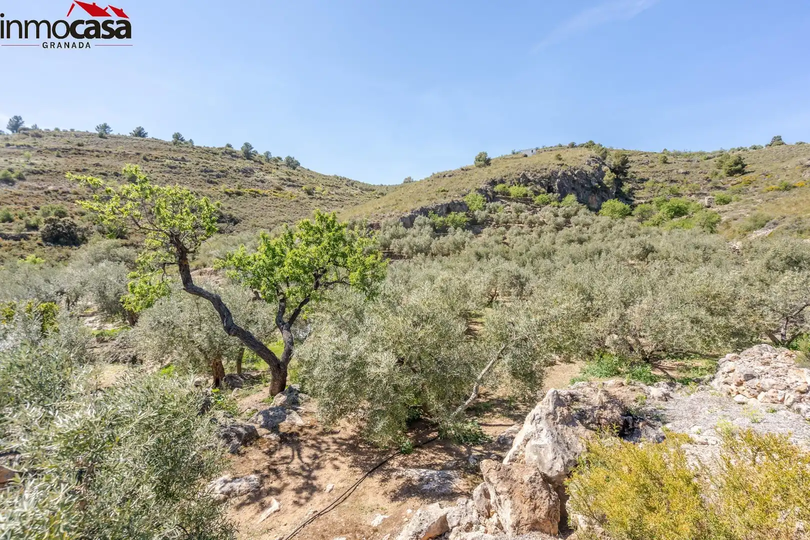 Land for sale in Lúcar