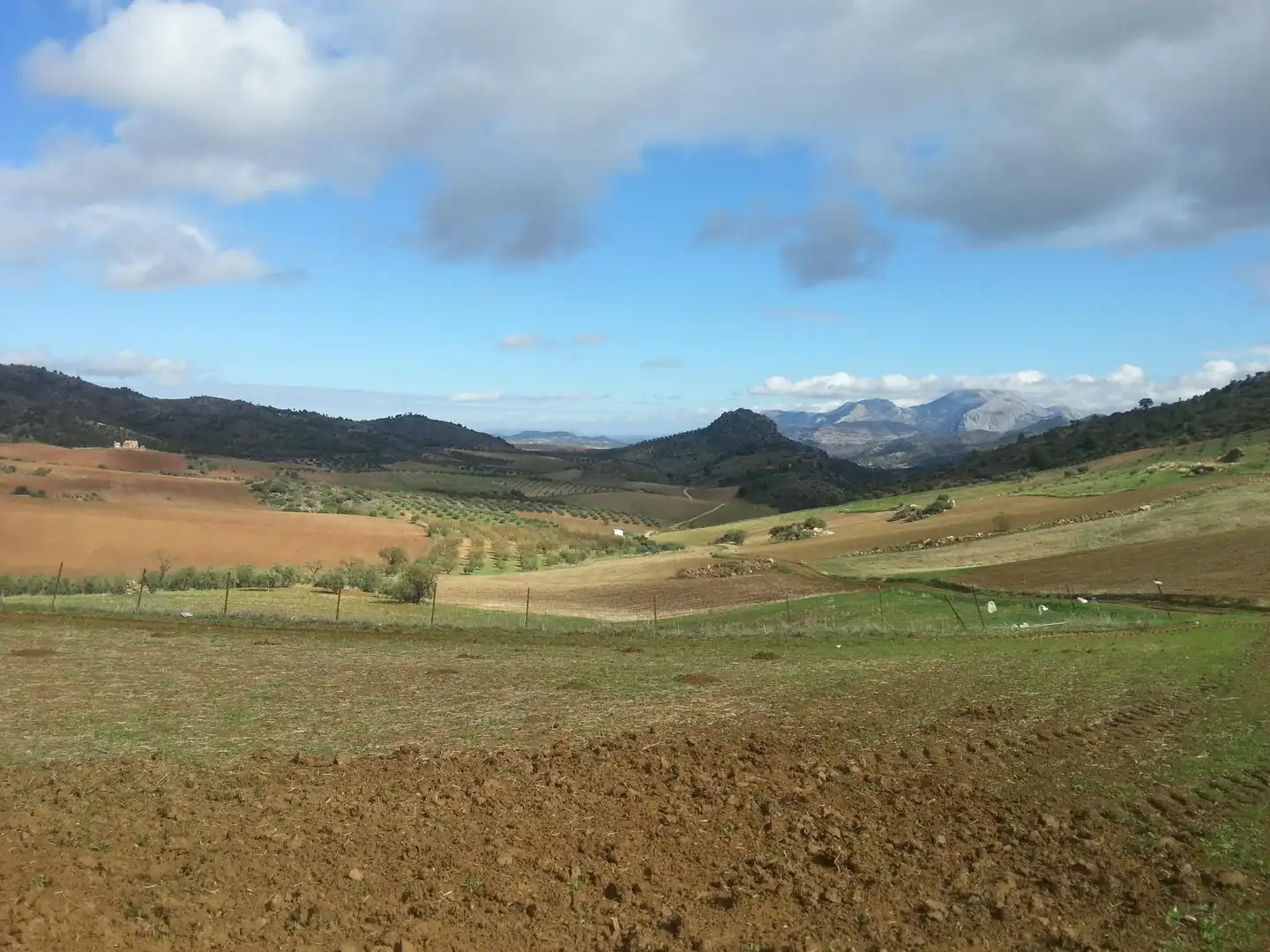 Terreno residenziale in vendita a Ardales, imagen 3