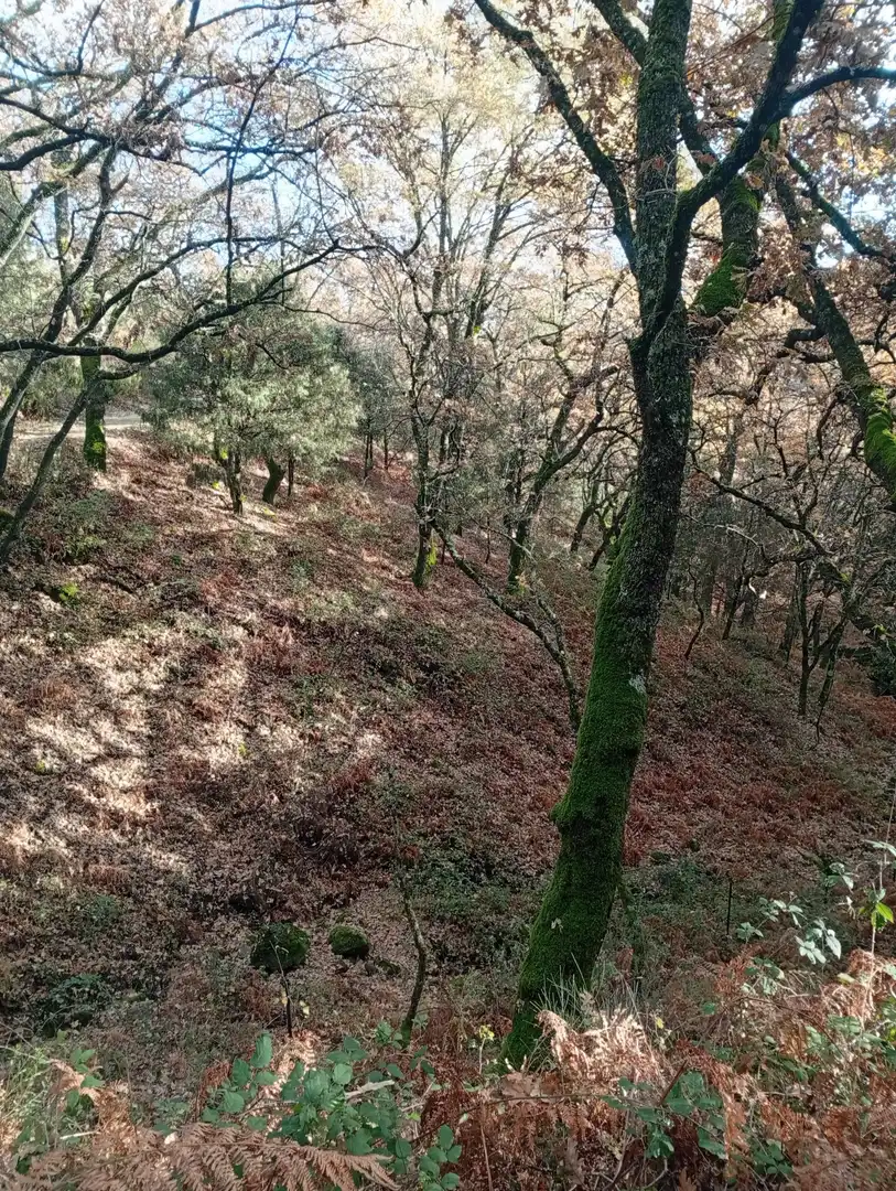 Terreni e lotti in vendita a Villanueva de la Vera, imagen 27