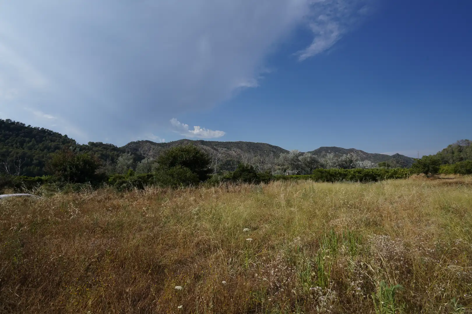 Terrain rustique à vendre à Benifallet, imagen 8