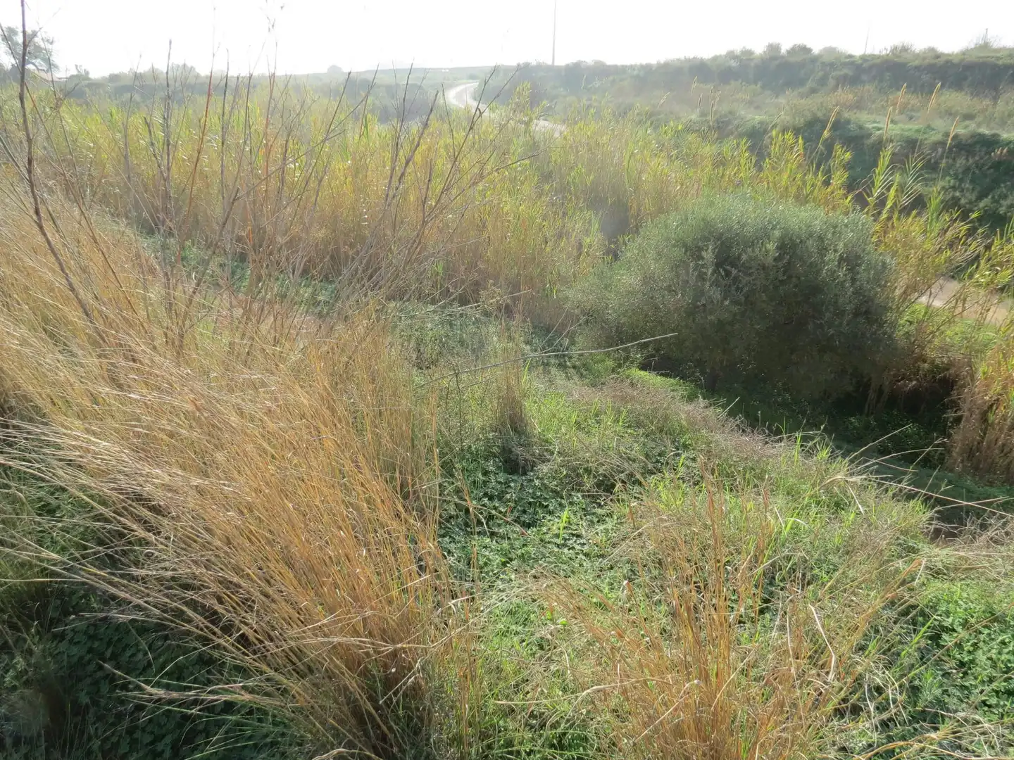 Terreni e lotti in vendita a Pedanías Oeste, imagen 16