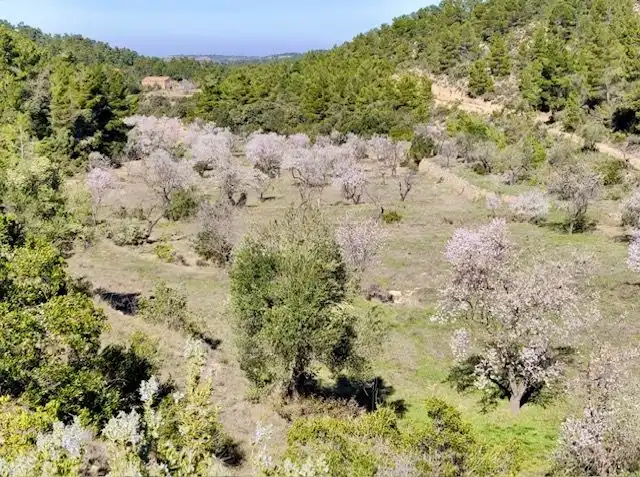 Terrenos y solares en venta en Valjunquera, imagen 18