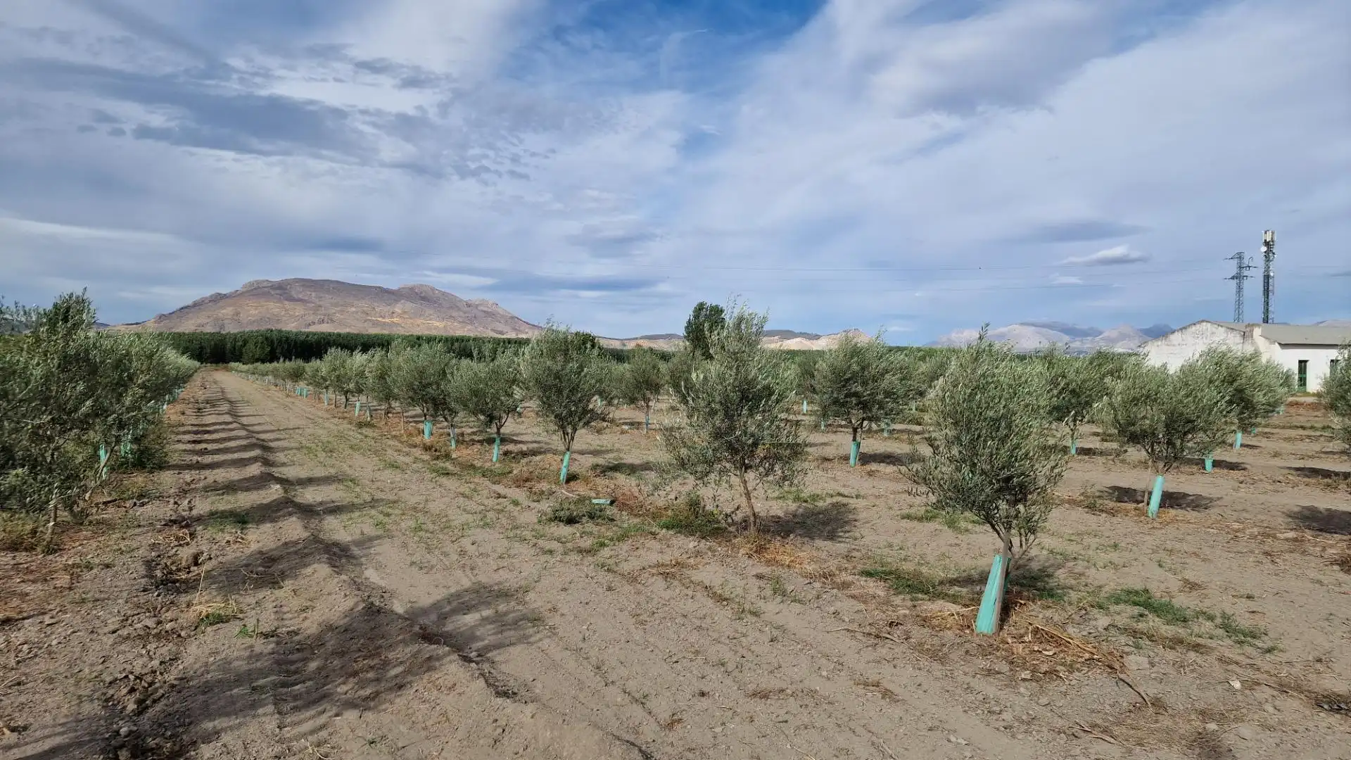Terreno rustico in vendita a CTRA SANTA FE A EL JAU, imagen 13