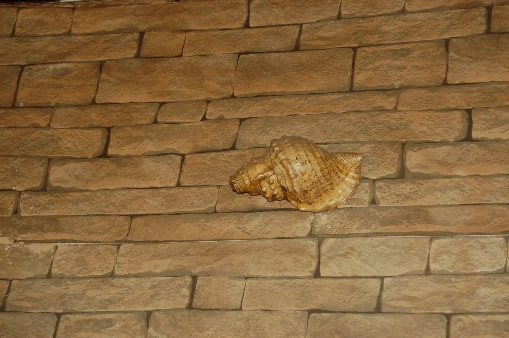 Casa rustica in vendita a Tàrbena, imagen 48