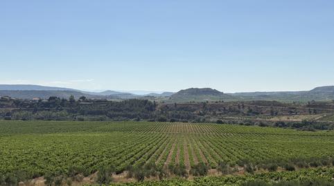 Photo 4 of Premises for sale in Laserna - Calle San Rafael, Laguardia, Araba - Álava