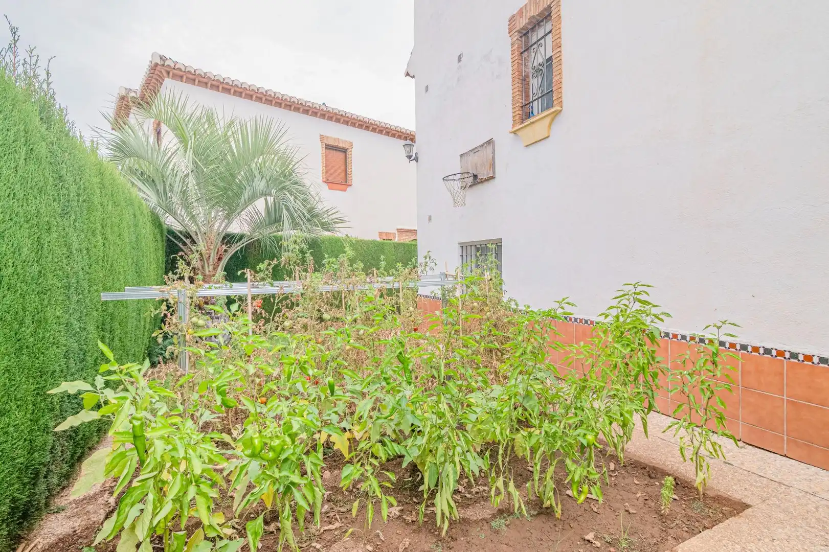 Casa pareada en venta en Calle BUERO VALLEJO 4, imagen 44