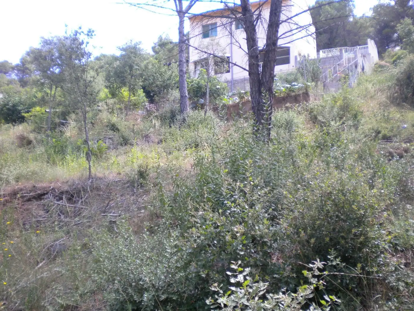 Terreny residencial en venda a Urbanitzacio Masia Sola Sector K 71, imagen 8