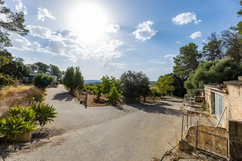 Casa rustica con giardino in vendita a Algaida, imagen 11