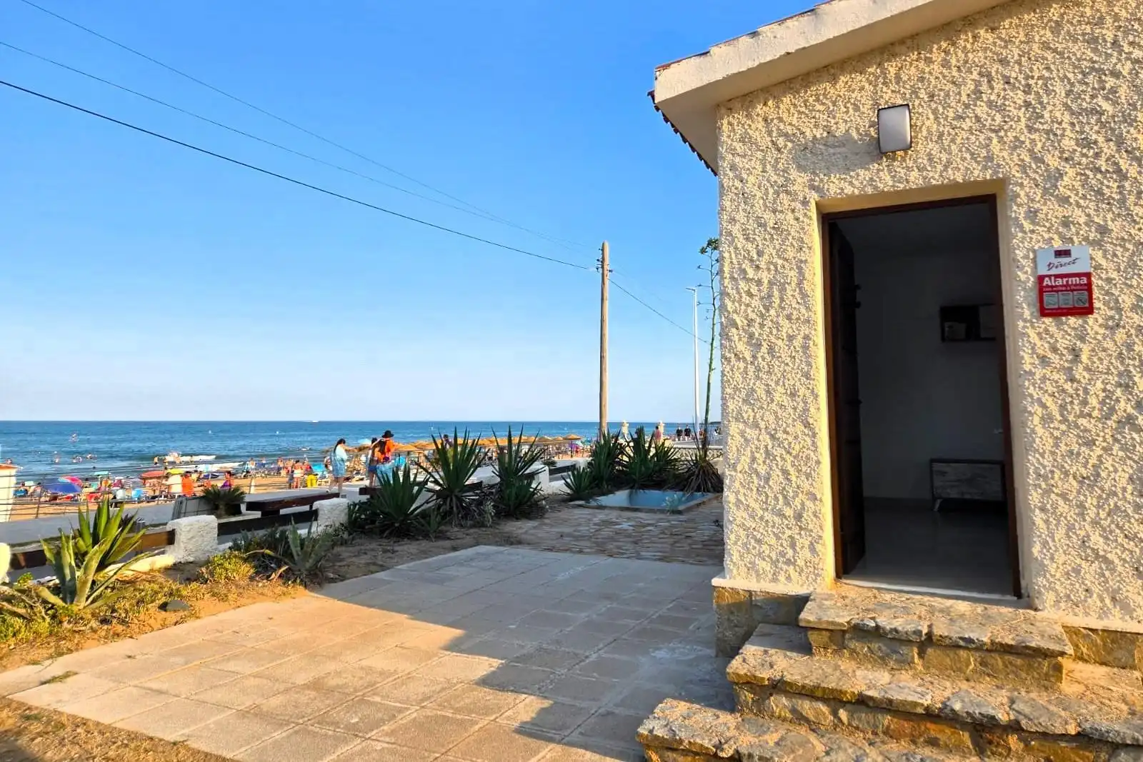 Vista exterior de Casa o chalet en venta en Torrevieja con Jardín privado y Terraza