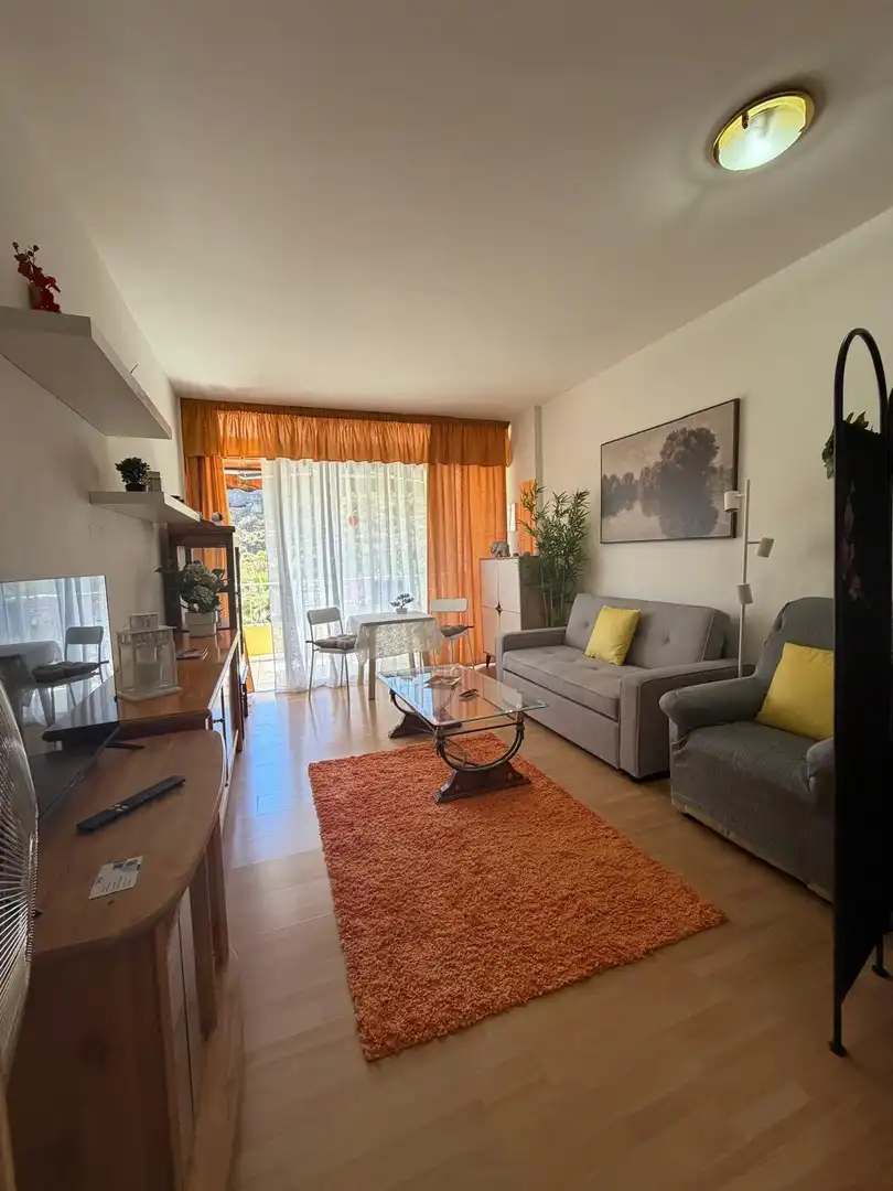 Sala d'estar de Estudi de lloguer en Puerto de la Cruz amb Parquet, Terrassa i Balcó