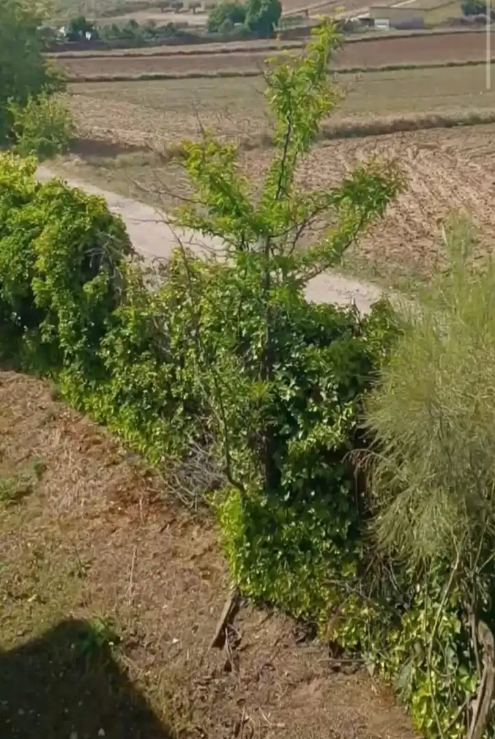 Casa o chalet en venta en Navalcarnero