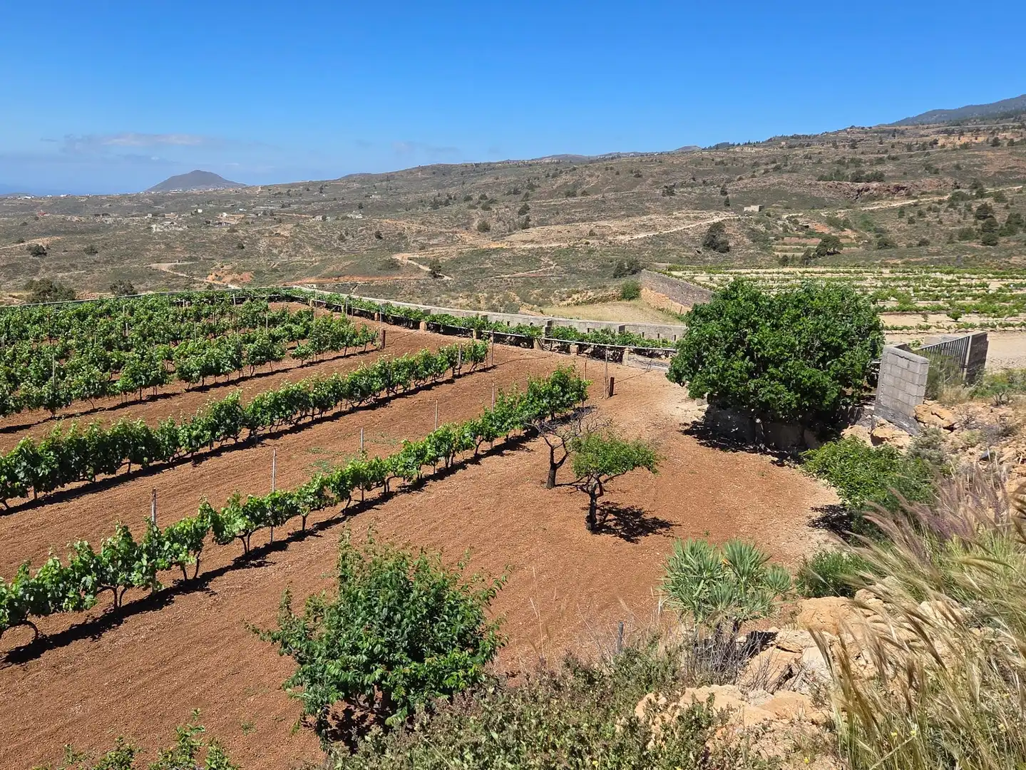 Terreno rustico in vendita a N/A, imagen 17