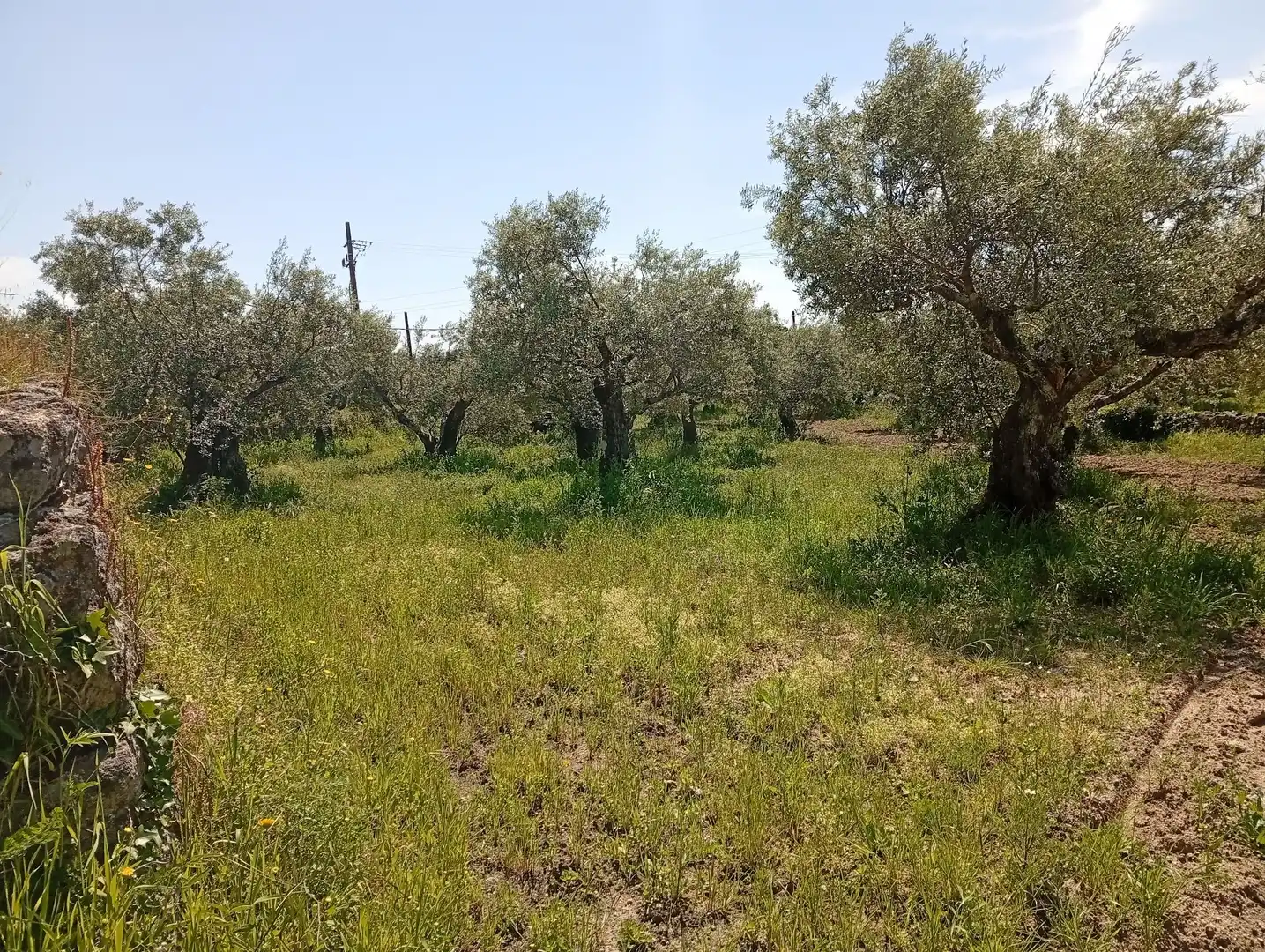 Terreni e lotti in vendita a Villanueva de la Vera, imagen 78