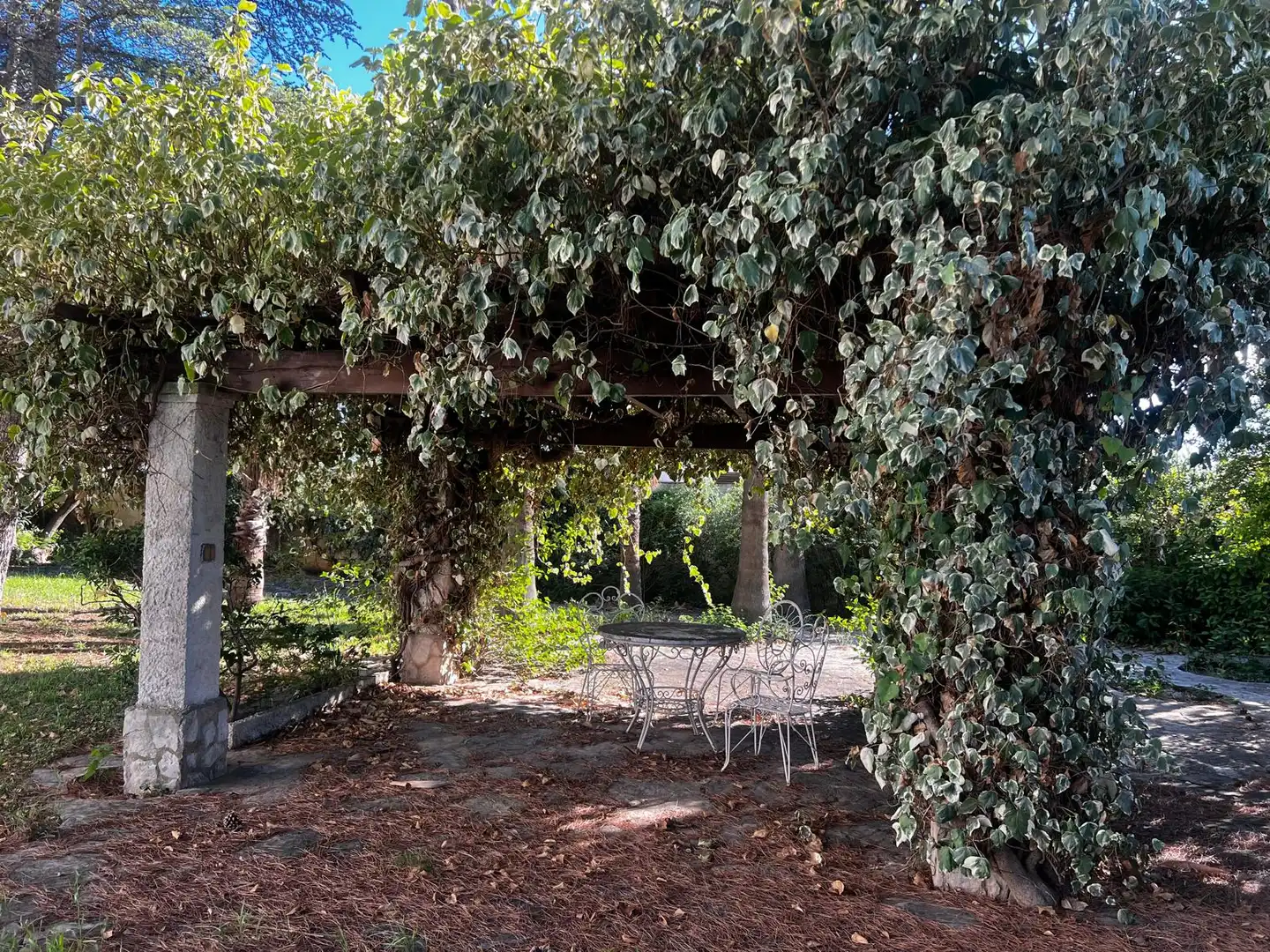 Casa con jardín en venta en Carrer de Plácido Hidalgo Castro, imagen 9