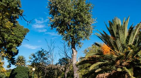 Photo 3 of Flat for sale in Passeig de L'albereda, Exposició,  Valencia Capital