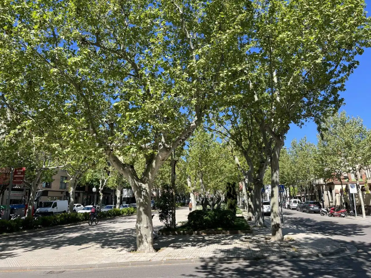 Flat for sale in Paseo Mossèn Jacint Verdaguer, El Poble Sec