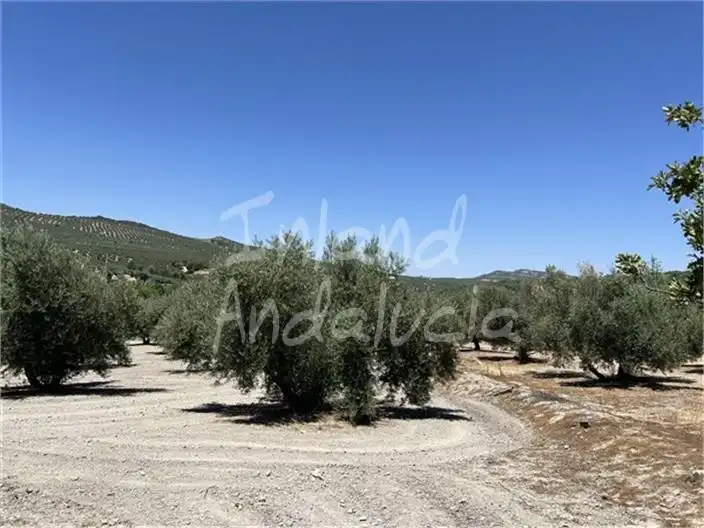 Terreni e lotti in vendita a Alcalá la Real, imagen 16