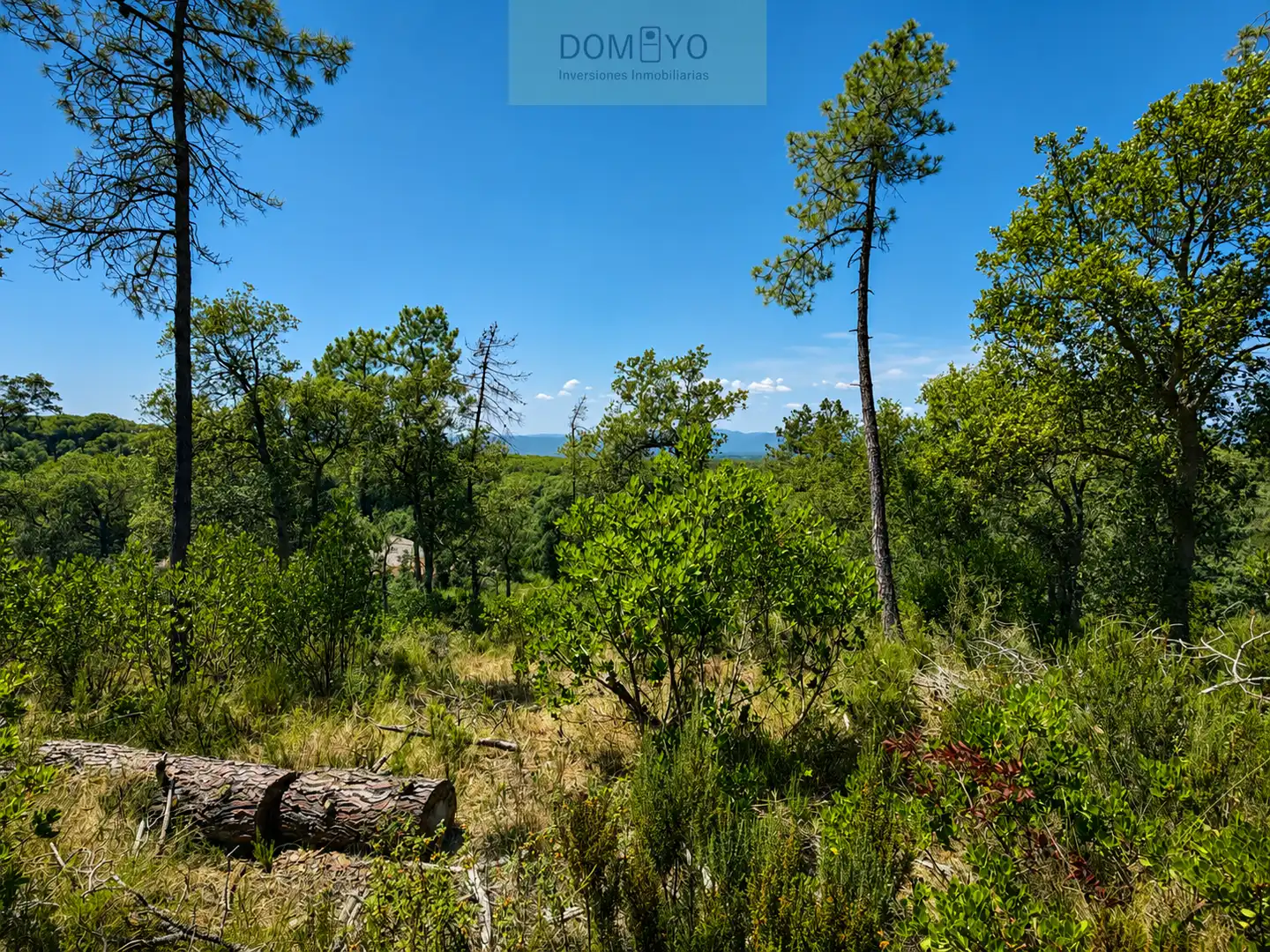 Terrenos y solares en venta en Puig de les Cadiretes