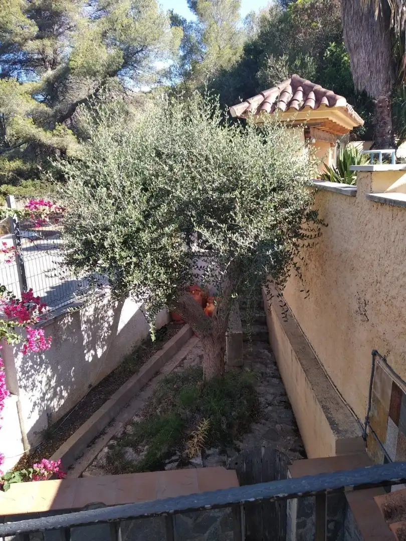 Maison avec terrasse à vendre à Mas Mel, imagen 70