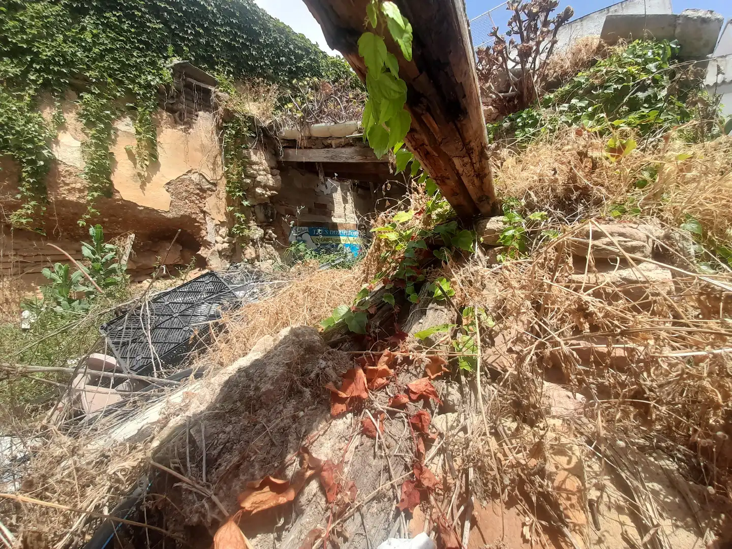 Terreno rustico in vendita a Centro, imagen 2
