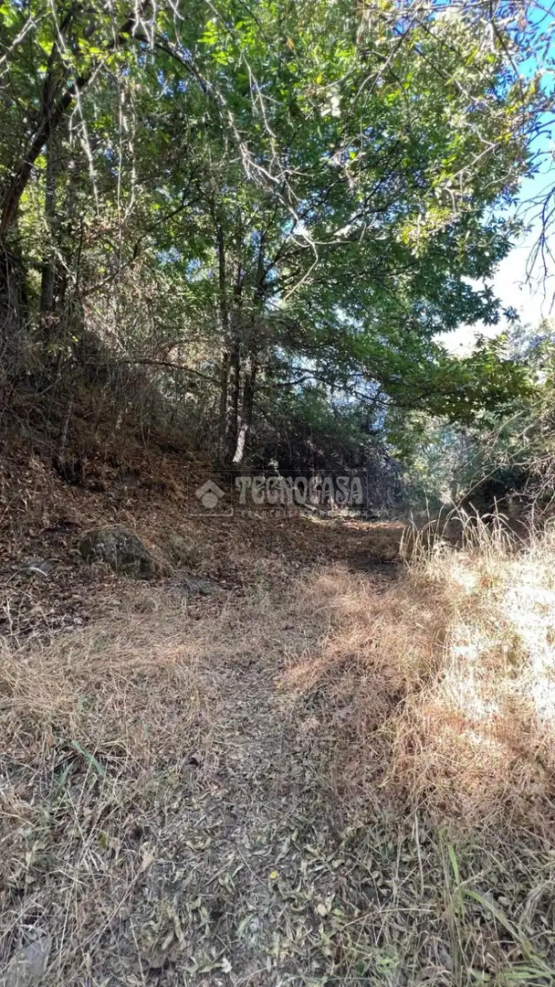 Rural land for sale in Güéjar Sierra, imagen 2