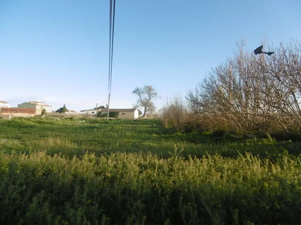 Terreni e lotti in vendita a Albalate de Cinca