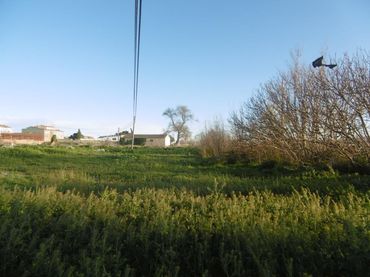 Rural land for sale in Albalate de Cinca
