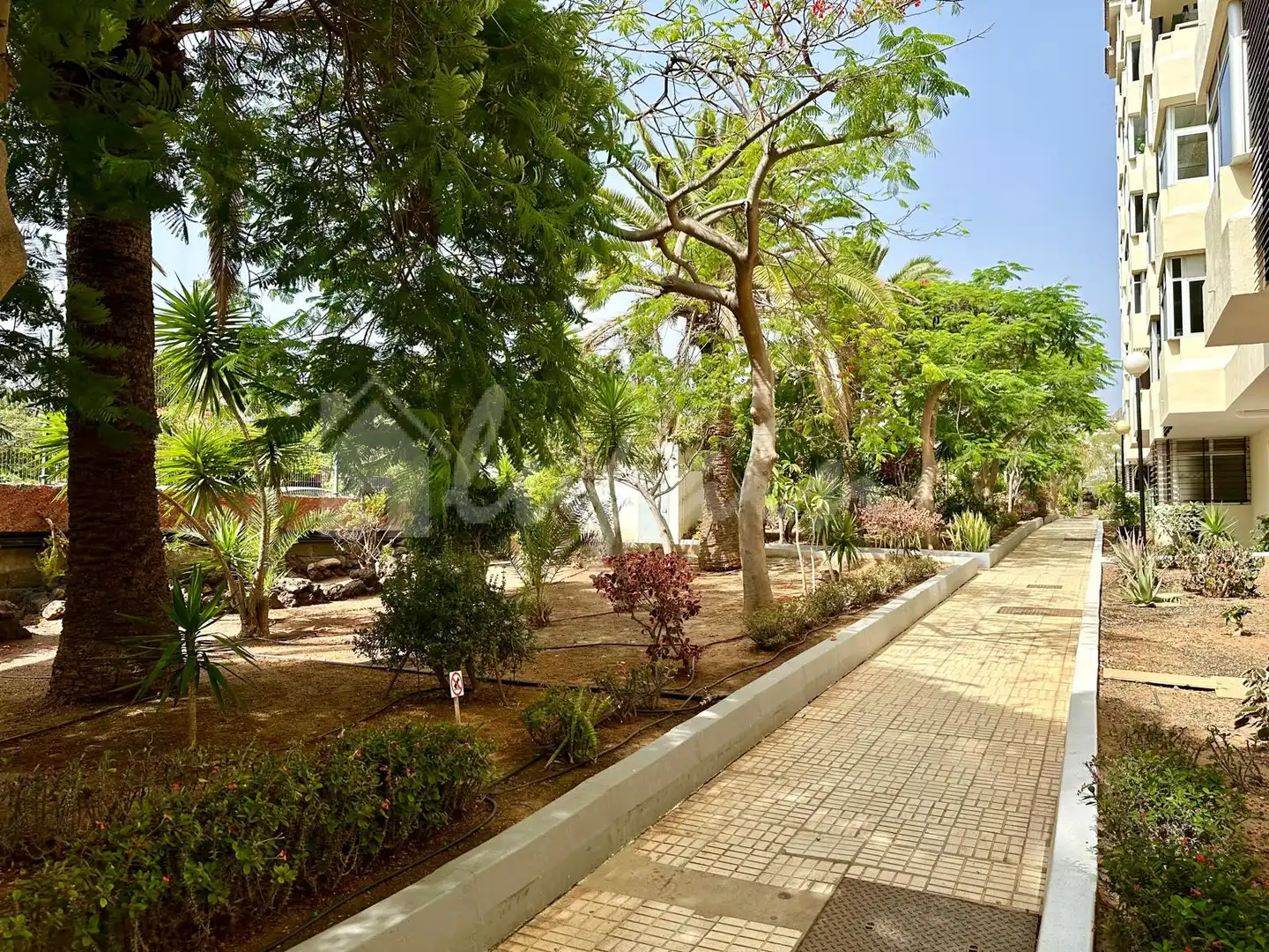 Vista exterior de Apartamento en venta en Arona