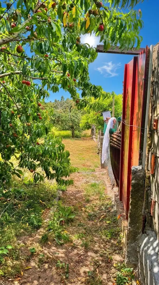 Casa amb jardí en venda a San Pedro da Ramallosa, imagen 17
