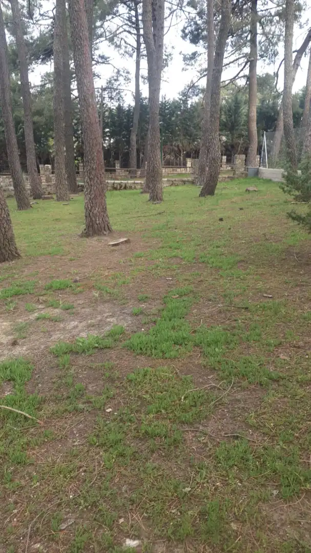 Residential land for sale in Calle Segovia 104, imagen 5