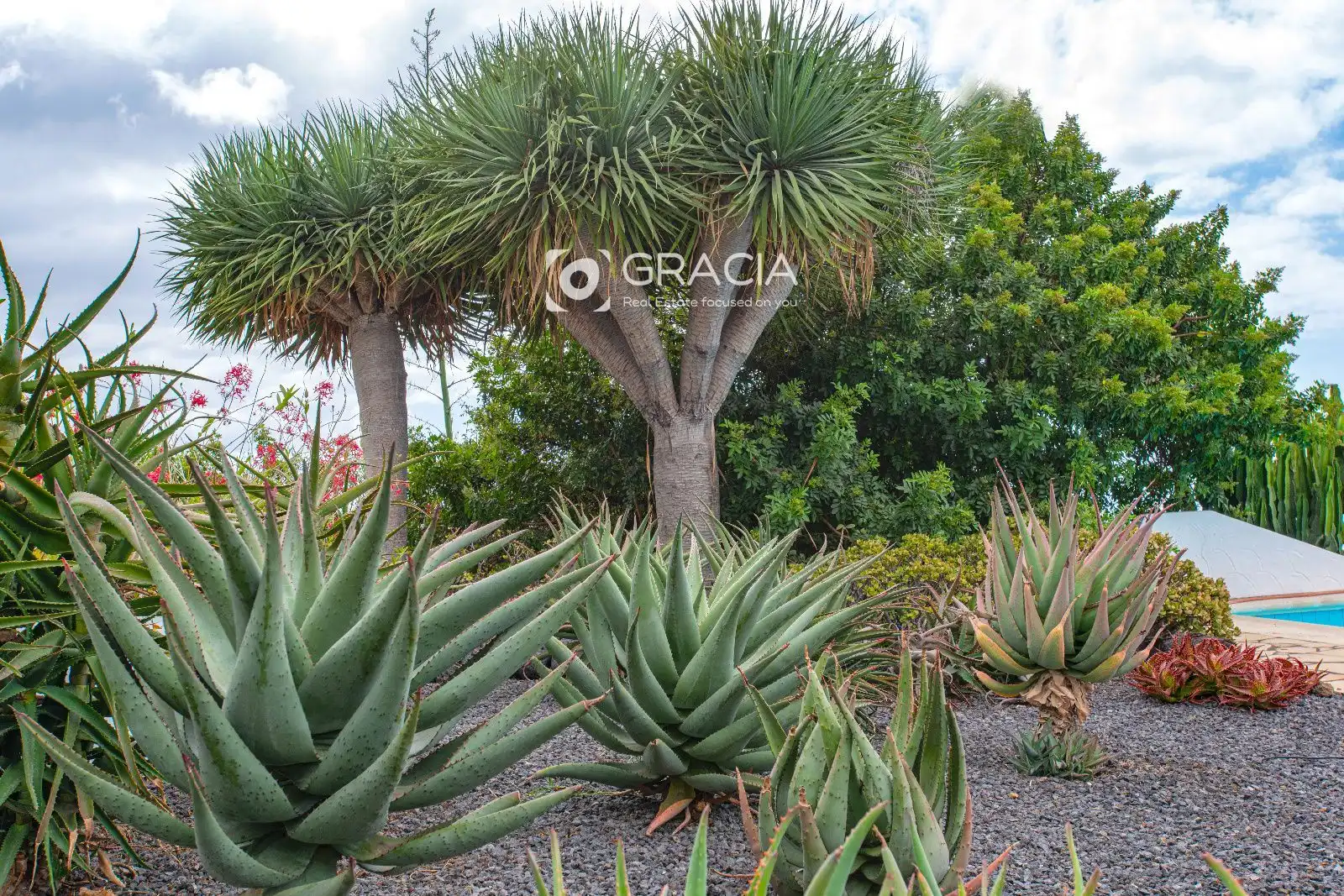 Jardín de Casa o chalet en venta en Tazacorte, Santa Cruz de Tenerife