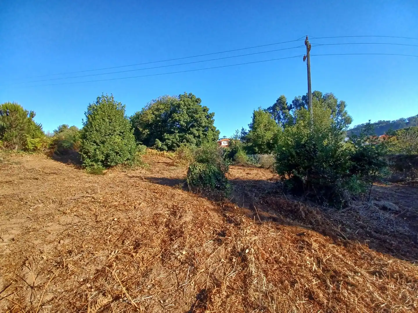 Terrenys i solars en venda a La Esperanza - Llano del Moro, imagen 9