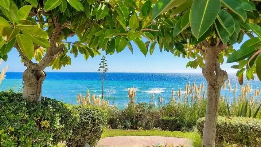 Garden of Flat for sale in Marbella  with Private garden, Terrace and Swimming Pool