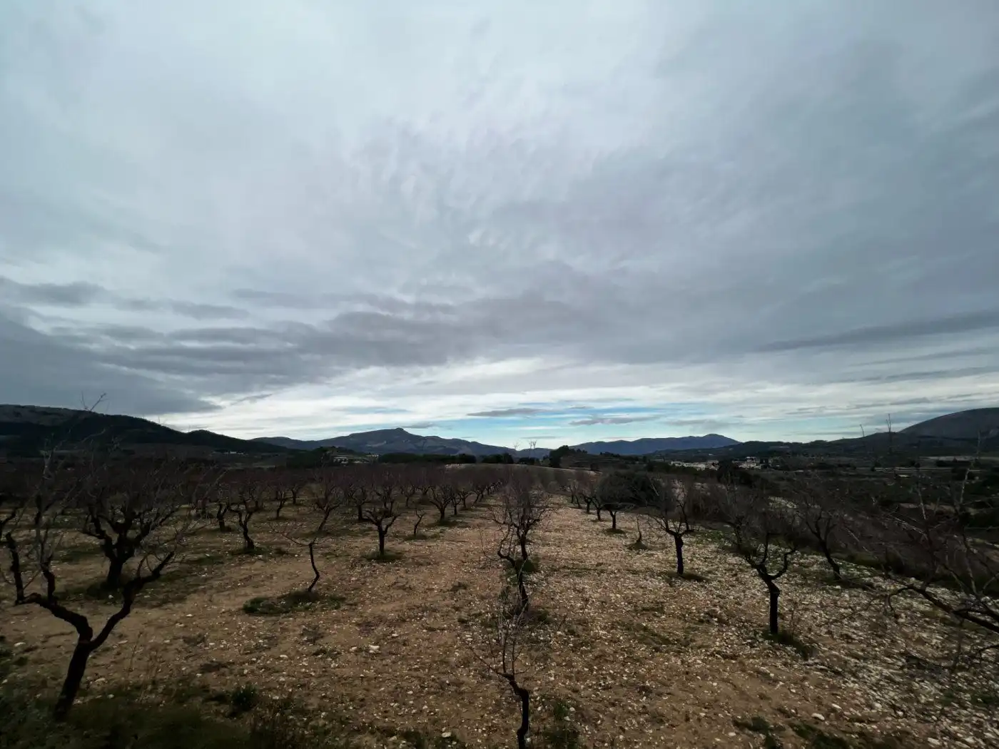 Casa rústica amb terrassa en venda a Carretera cv-785, imagen 58