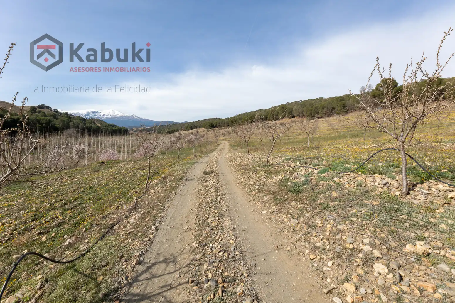 Terreni e lotti in vendita a Guadix - AUTE. VALLE DEL ZALABI, imagen 9