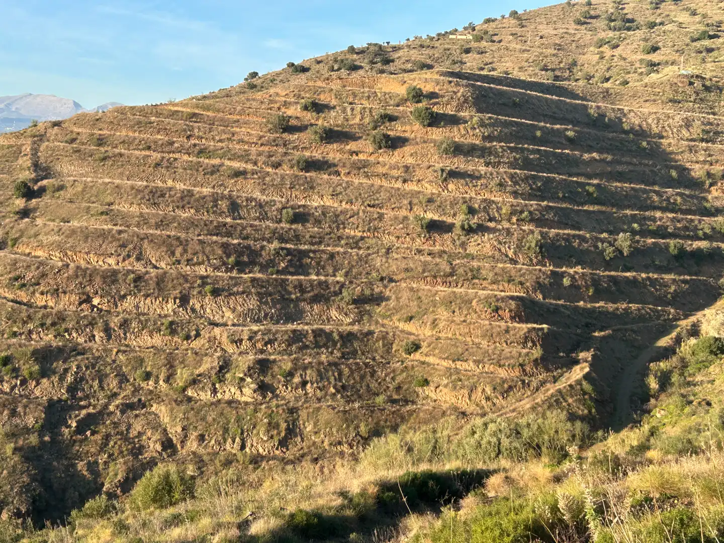 Terrain rustique à vendre à Barrio Trapiche-la Palma Sg.T, imagen 3