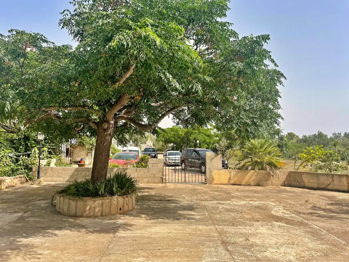 Vista exterior de Casa o xalet en venda en Xerta amb Terrassa