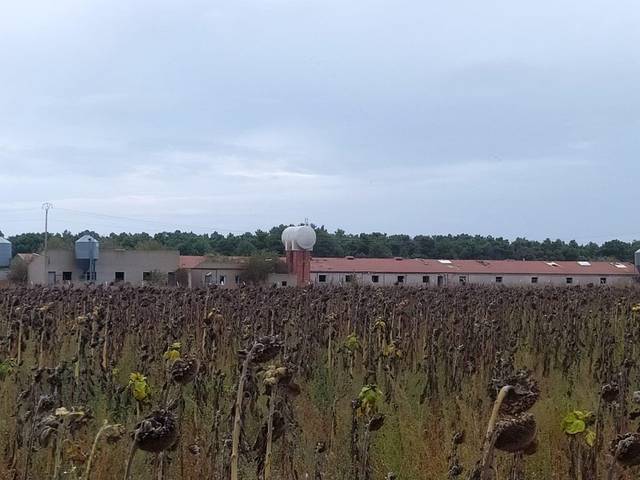 Nave industrial en Venta en Fuentepelayo