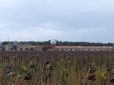 Industrial building for sale in Fuentepelayo