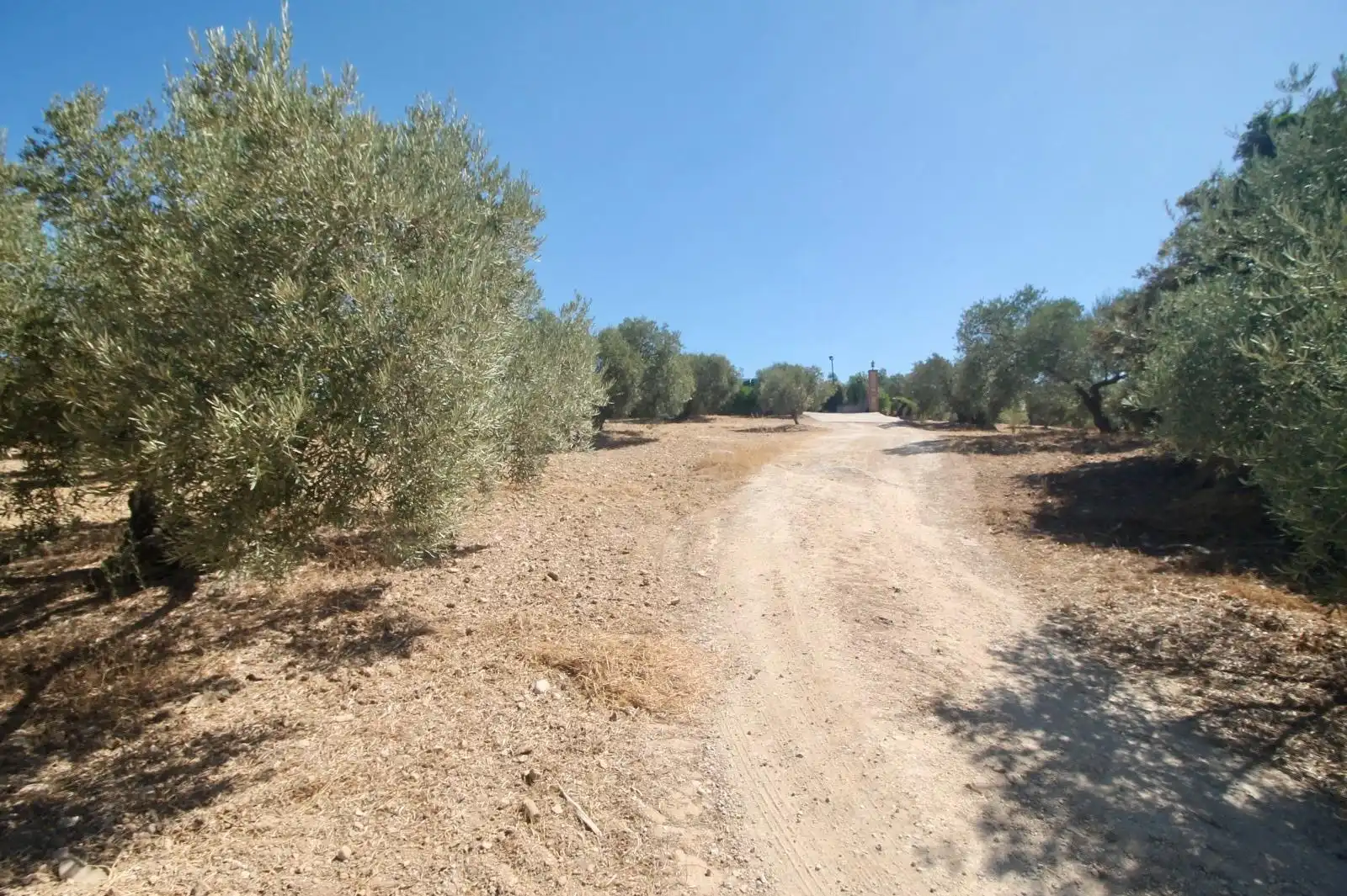 Casa rústica en venda a Bobadilla - Bobadilla Estación - La Joya, imagen 22