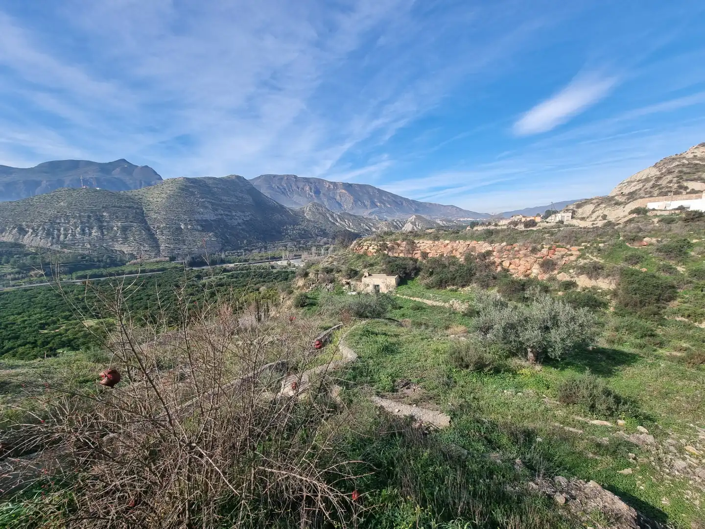 Rural land for sale in Terque, imagen 19