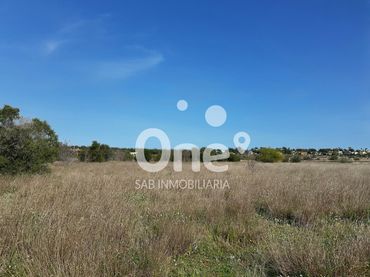 Rural land for sale in San Antonio de Benagéber