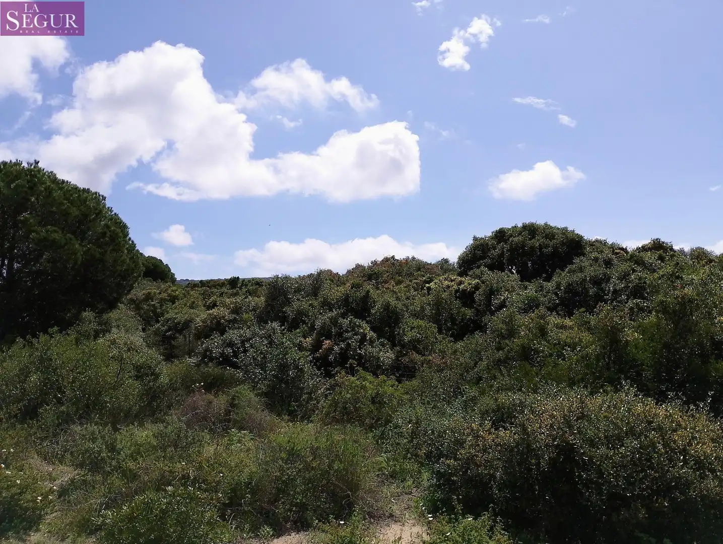 Terreno rustico in vendita a Barbate ciudad, imagen 5