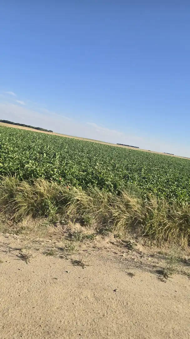 Terreno rustico in vendita a Ontígola, imagen 2