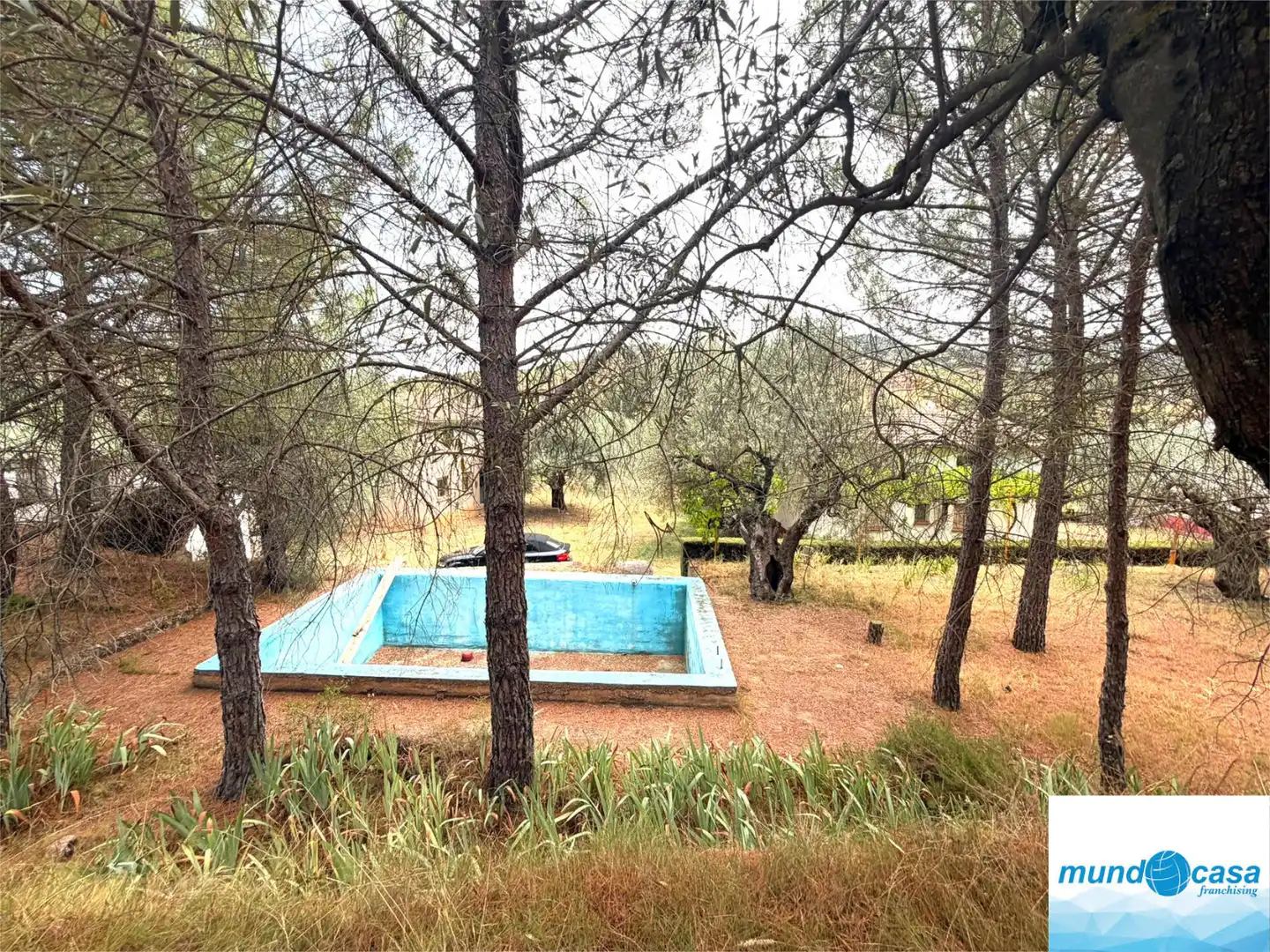 Piscina de Finca rústica en venda en Morata de Jalón amb Piscina comunitària