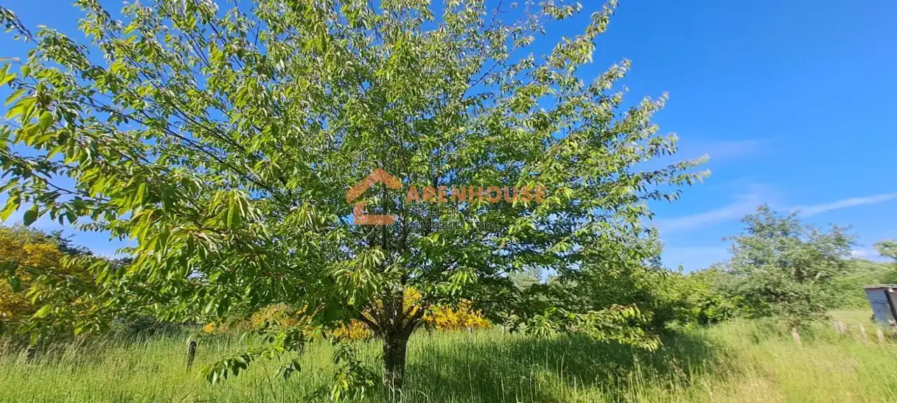Chalet con terraza en venta en San Cibrao das Viñas, imagen 36