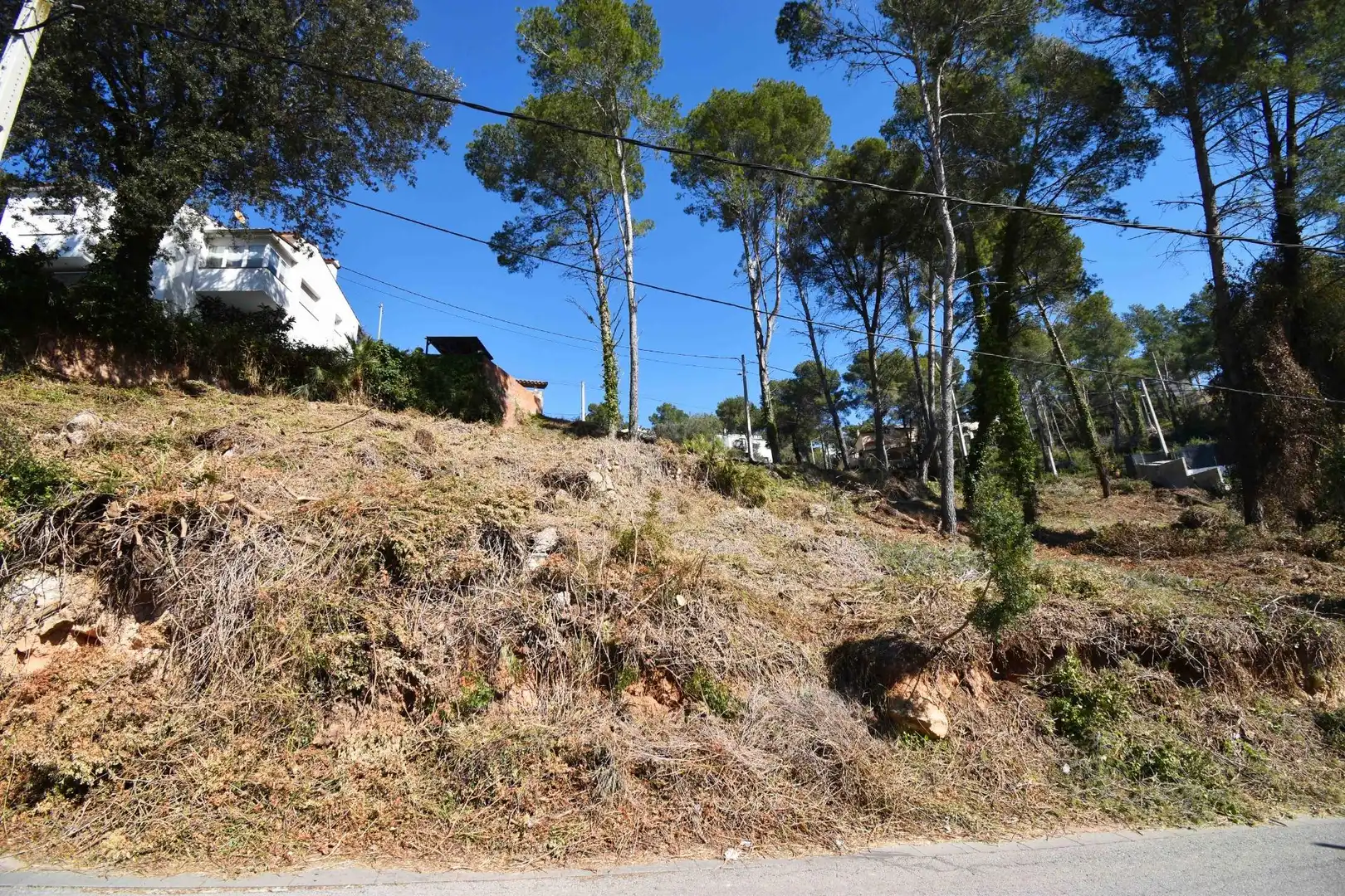 Residential land for sale in Olivella, imagen 12