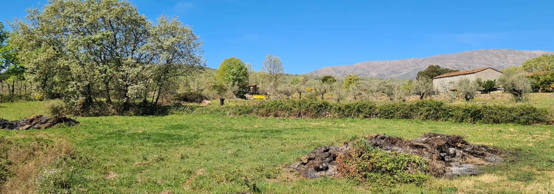 Terreni e lotti in vendita a Jarandilla de la Vera